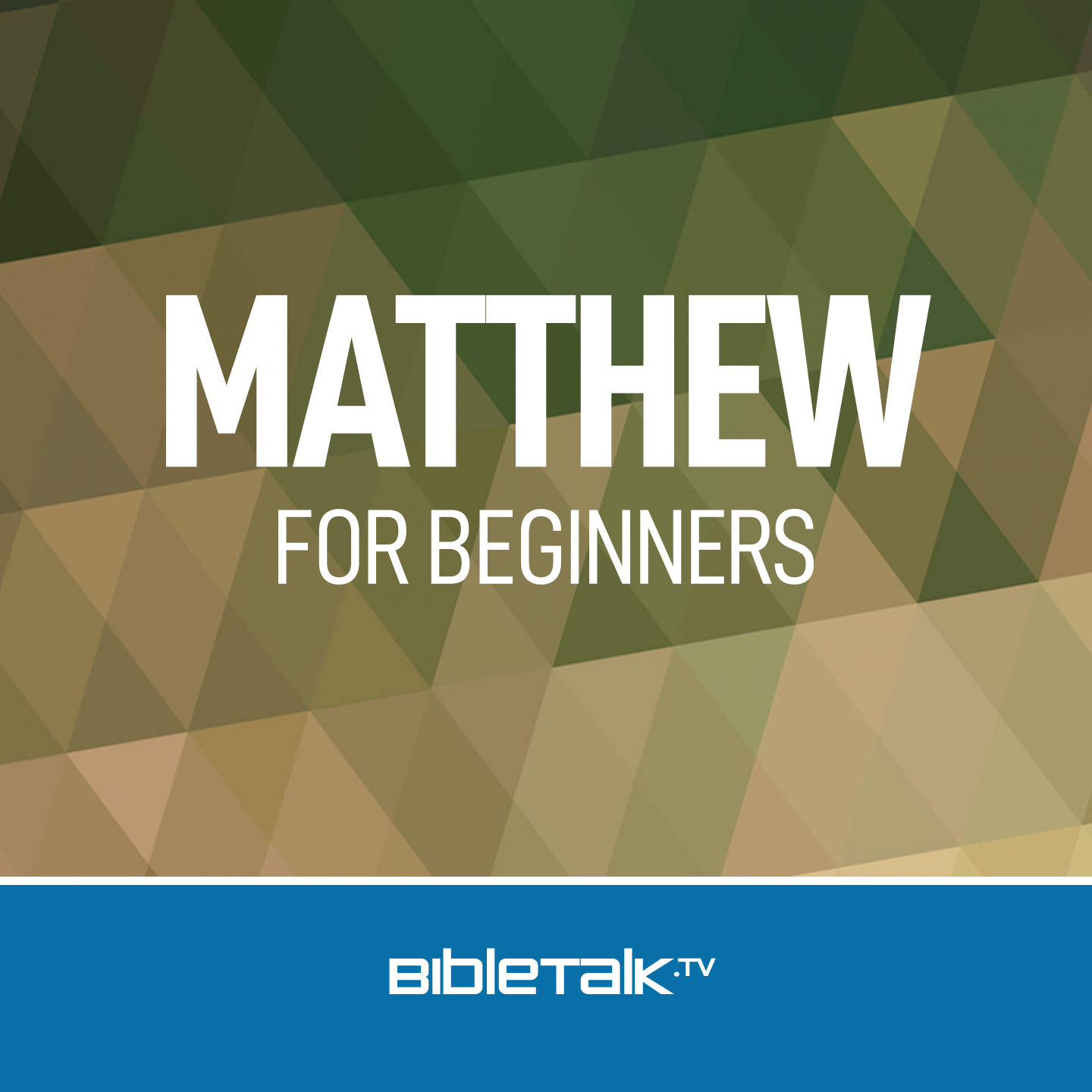 Matthew for Beginners — Mike Mazzalongo